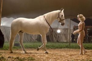 «Воды слонам!»: Сказка на колесах, или Куда уехал цирк?