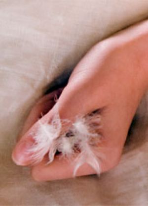 Создатели "Сумерек" потребовали отказаться от спойлеров