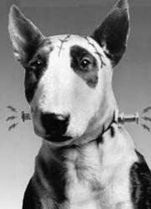 "Франкенвини" Тима Бертона будет стереоскопическим