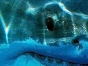 Голливудский фильм может выйти в прокат безымянным