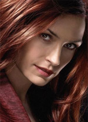 Фамке Янссен станет противницей Гензеля и Гретель