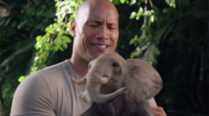 Российские киноманы любят приключения