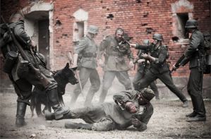 Рецензия на фильм «Брестская крепость» Александра Котта