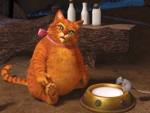 Сборы "Шрека навсегда" в России превысили миллиард рублей