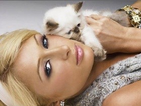 Пэрис Хилтон сыграет избалованную тусовщицу