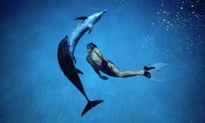 Disney снимет римейк "Мальчика и дельфина"