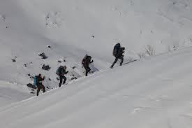 Кинолента «Тайна перевала Дятлова» заинтересовала российских журналистов 