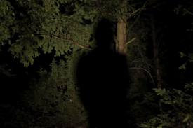 Режиссер "Необратимости" снял клип для Ника Кейва