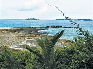 "Последний герой": Приключения  украинцев  в Панаме