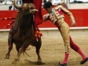 Крупнейший испанский телеканал отказался от трансляций корриды