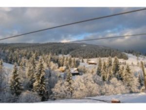 «Новый канал» на Новый год покажет шоу с карпатскими гаданиями