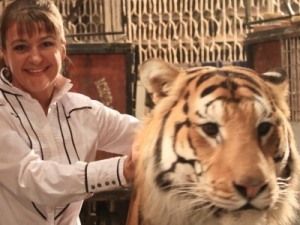 Сериал «Литейный»: На Анастасию Мельникову напал разъяренный тигр