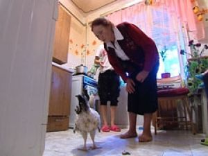 "Здравствуйте, я ваша мама" за границей