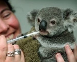 Студия Ю7 представляет зоопарк без купюр