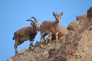 Студия Ю7 определяет линию поведения