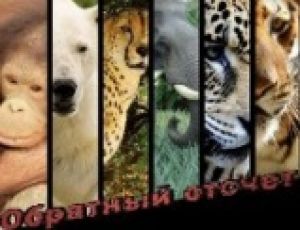 Студия Ю7 начинает обратный отсчет