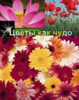 Получите букет цветов от Студии Ю7