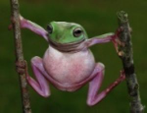 Студия Ю7 на страже природы