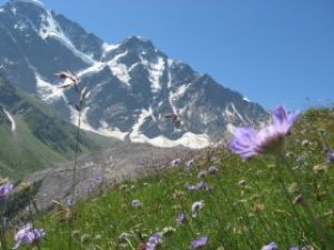 Грузия снимет сериал об имперской политике России