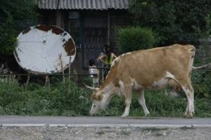 Информационный вакуум как перспектива