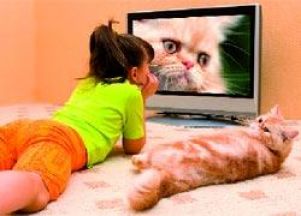 Японцы не готовы к приему цифрового ТВ