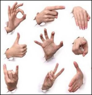 Телеканал «Жест» начнет полноценное вещание в Беларуси 24 января