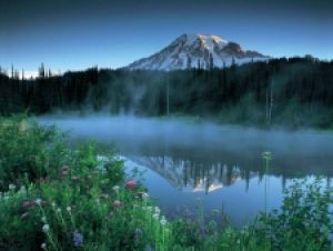 «Відео Інтернешнл Україна» продаватиме рекламні можливості Discovery