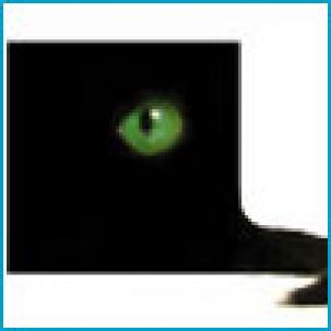 "Цифра" заработала. Какого ждать результата?