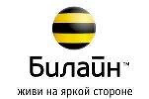 «Билайн» принес в Москву мобильное ТВ