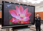 ЖК-панелей для телевизоров скоро станет меньше ЖК-панелей для телевизоров скоро станет меньше