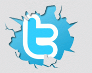 Студенты через «Twitter» пригласили главу региона на свою свадьбу