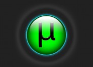 Через торрент-клиент Transmission можно захватить ПК под Windows, Linux и MacOS Через торрент-клиент Transmission можно захватить ПК под Windows, Linux и MacOS