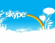 Киевские власти: Если бы Skype был украинским, он бы принес бюджету $575 млн