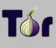 Студент-программист обнаружил сайт-двойник Tor Project