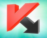 У беспечных пользователей кличка животного — пароль ко всем аккаунтам