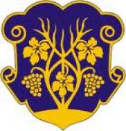 В Ужгороде продавать мобильные сим-карточки будут только по паспорту