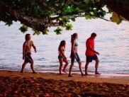 Кинокритики Лос-Анджелеса признали "Потомков" фильмом года