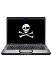 Четверть россиян готова платить за видео в Сети