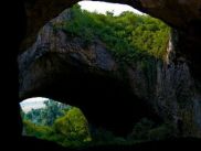 Создатели "Неудержимых 2" рассердили защитников природы