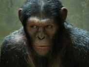 "Восстание планеты обезьян" уже собрала $104,9 млн