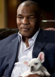 Майкл Тайсон заработал на мальчишнике меньше всех