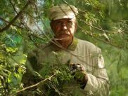 "Цитадель" дебютировала в российском прокате в два раза хуже "Предстояния"