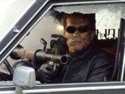 Шварценеггер станет объездчиком лошадей