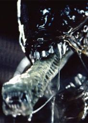 В "Прометее" будут представлены новые виды Чужих