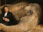 "Вода для слонов": новые кадры