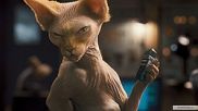 Четвероногая "бондиана" в фильме "Кошки против собак"