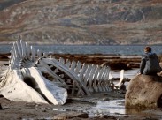 Объявлена дата выхода в прокат «Левиафана» Андрея Звягинцева