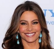 София Вергара может сыграть в ремейке боевика «Гнев»