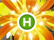 Стань участником нового шоу на Новом