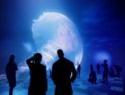 Телеканал Discovery презентував проекти 2011 року